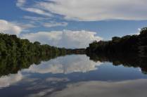 Enttrando na belíssima Reserva do Mamirauá, na região de Tefé, no Amazonas